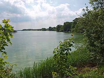 Hörnsee – Blick entlang des Nordufers