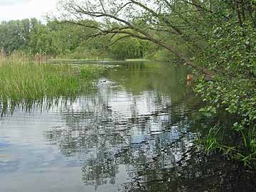 Schwanensee – Blick aus Süden, Stadtgrabenstraße