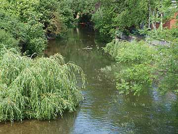 Schwentine – unterhalb Brücke Schwentinestraße