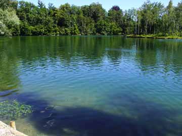 Unterfahlheimer See