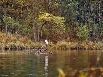 Lech – der Lech Höhe Lechauwald Unterbergen