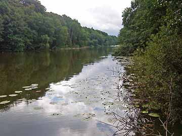 Rittgartener See – Schmaler See