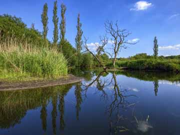 Alte Elde – Die Alte Elde