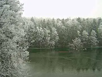 Güster Baggerseen – Mittelabschnitt Güster Baggersee im Winter