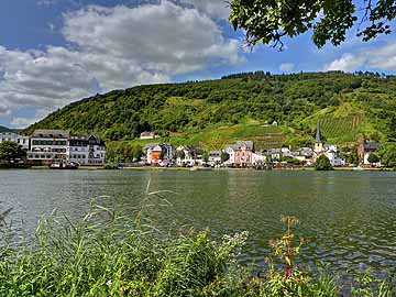 Mosel