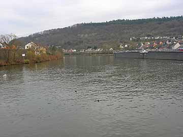 Mosel – Streckenbeginn an der Sauermündung