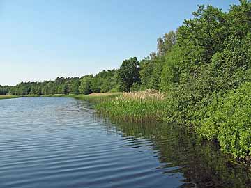 Prerower Strom – Bereich westl. der Ladenstraße