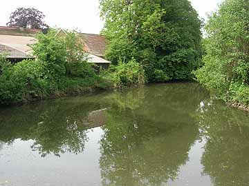 Münstersche Aa – kleiner Stau in Aldrup