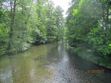 Weiße Elster – Straßenbrücke Kürbitz, Blick flussaufwärts