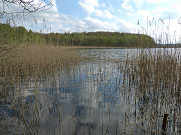 Großer Pätschsee – Blick in den nördlichen Seeberech