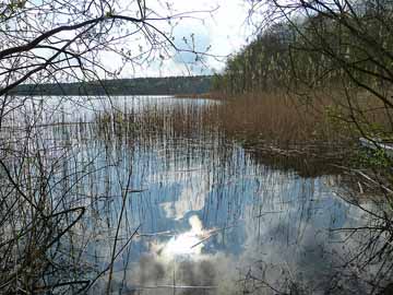 Großer Pätschsee – Blick aus Norden entlang des Westufers