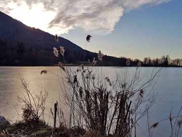 Stallauer Weiher