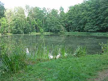 Altes Bad Lübbenau – Angelstelle am Süd-West-Ufer