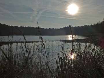 Plötzensee – Novemberabend am Plötzensee