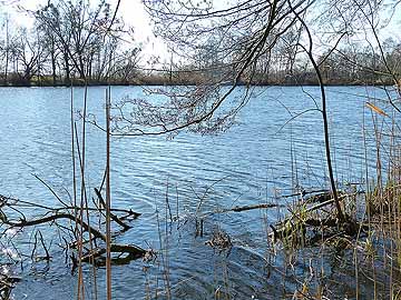 Großer Zabelsdorfer Stich – Blick vom Nordufer des Zabeldorfer Stichs