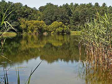Gihmsee – Gihmsee im Juli
