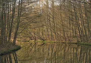 Dosse – Dosse vor dem Wehr