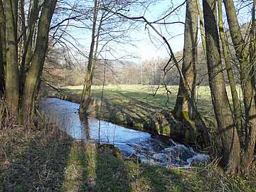 Rosa – die Rosa bei Wernshausen