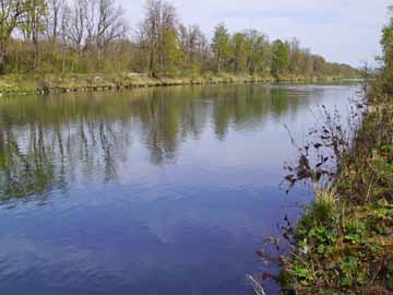 Donau – Aufnahme unterhalb der Autobahnbrücke