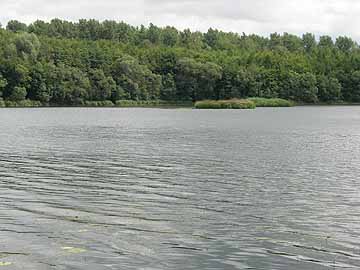 Franziskussee – Blick von Norden auf das östl. Ufer