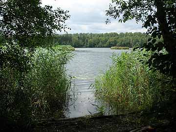 Franziskussee – Blick vom Ostufer auf die beiden Inseln