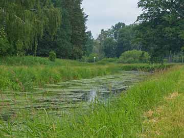 Großer Havelländischer Hauptkanal – stark bewachsener Abschnitt unterhalb der B188