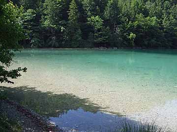 Alatsee