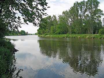 Saale – oberhalb der Bodemündung