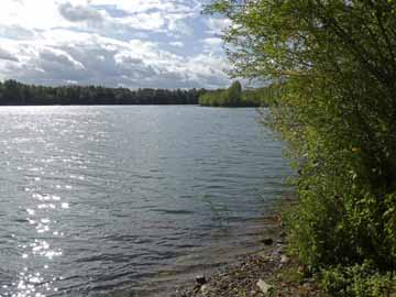 Krietfeldsee – Blick vom Nordufer Richtung Insel