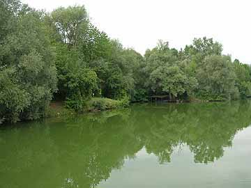 Aileswasensee – Fußgängerbrücke, Blick auf das Nordwestufer