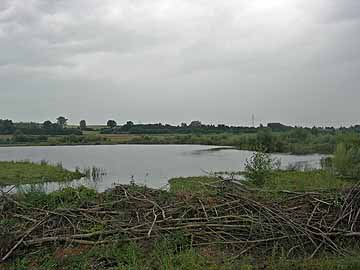 Natursee III – nördlicher Seebereich