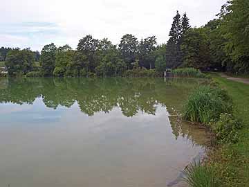 Wagenhauser Weiher – nordöstlicher Bereich mit Überlauf