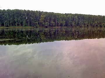 Alter Minthe Baggersee – Aussicht auf die Alte Minthe