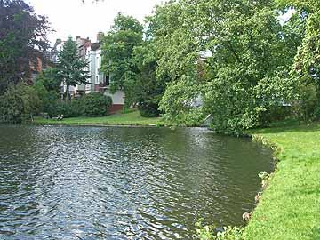 Mühlenteich – Blick Richtung Einlauf vom Krähenteich