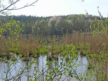 Entenweiher