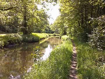 Delme – Delme bei Fa. Könecke im Sommer