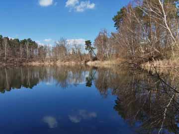 Waldsee – Der Waldsee (Chausseeloch) im März 2022