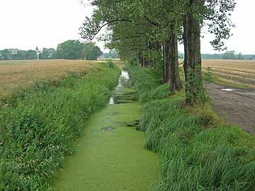 Zülower Kanal – Brücke im Norden Mittenwalde