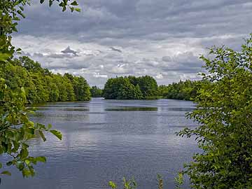 Maikampsee