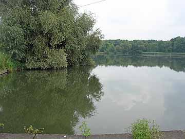 Stradower Angelteich, Weideteich – nordwestliches Teichende