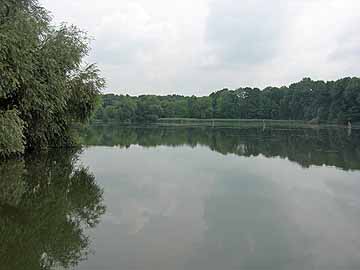 Stradower Angelteich, Weideteich – Blick Richtung Ostufer