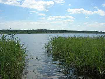 Schönfelder See – Ostufer Höhe Schönfeld