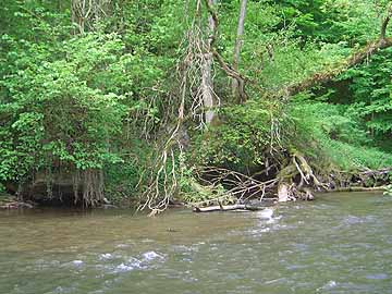 Prims – Prims bei Bardenbach