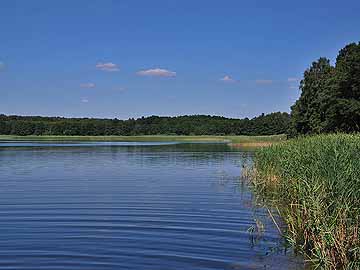 Salchowsee – kleiner See mit Insel