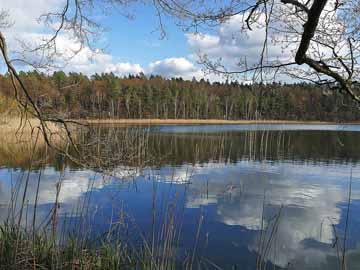 Krummer See Luhme