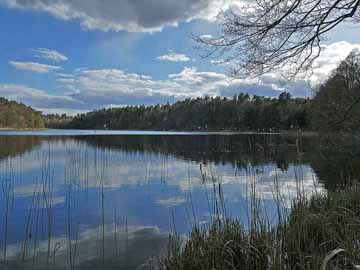 Krummer See Luhme – Blick in den nördlichen Seebereich