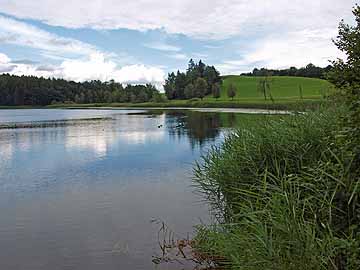 Wuhrmühleweiher