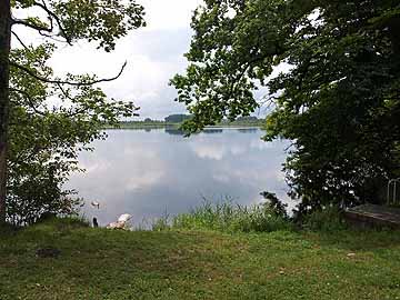 Häcklerweiher
