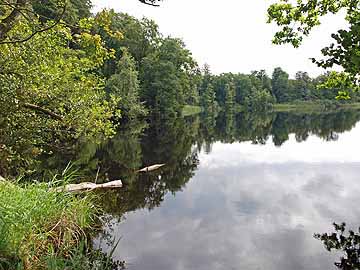 Häcklerweiher