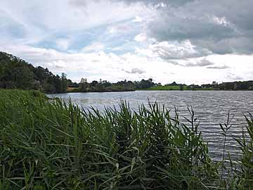 Zellersee – Nordufer, östlicher Seebereich